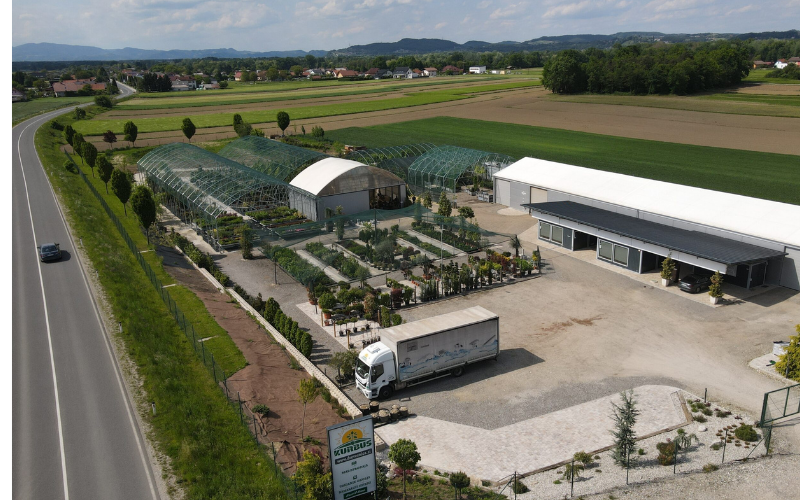 Drevesnica Kurbus – pogled na drevesnico